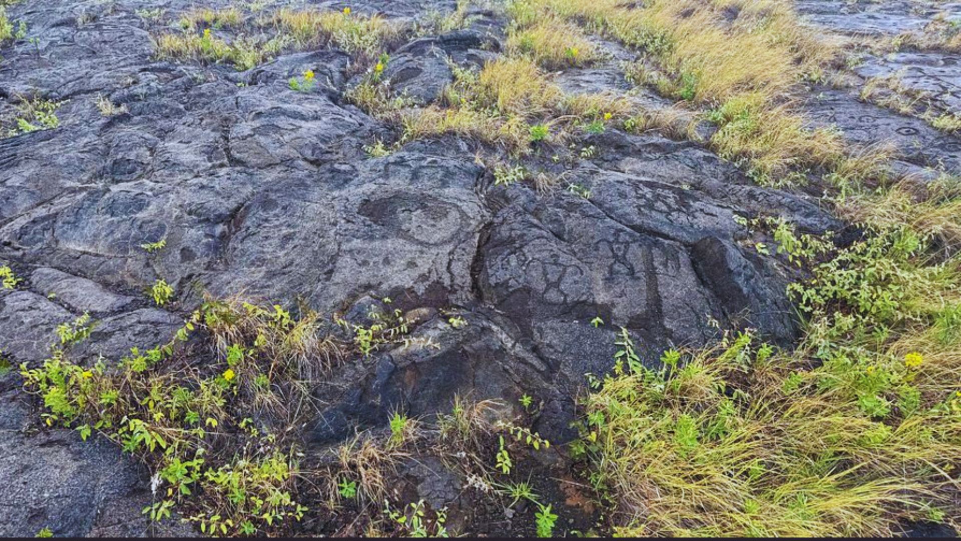 A rock with a face carved into it, partially hidden in green grass.