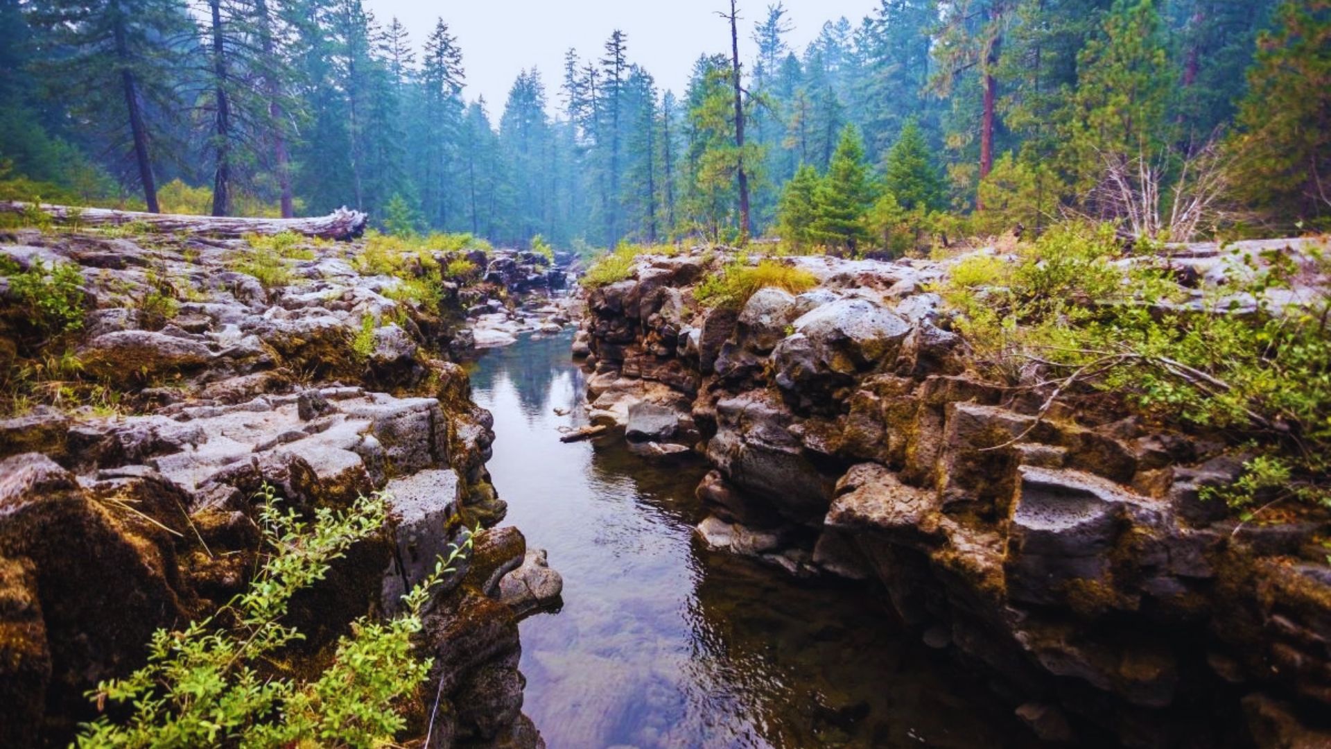Rogue River Gorge