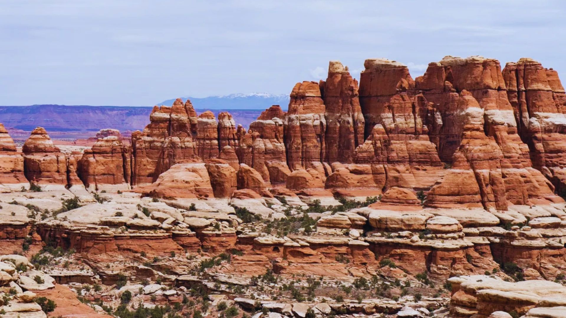 Visit the Needles District of Canyonlands