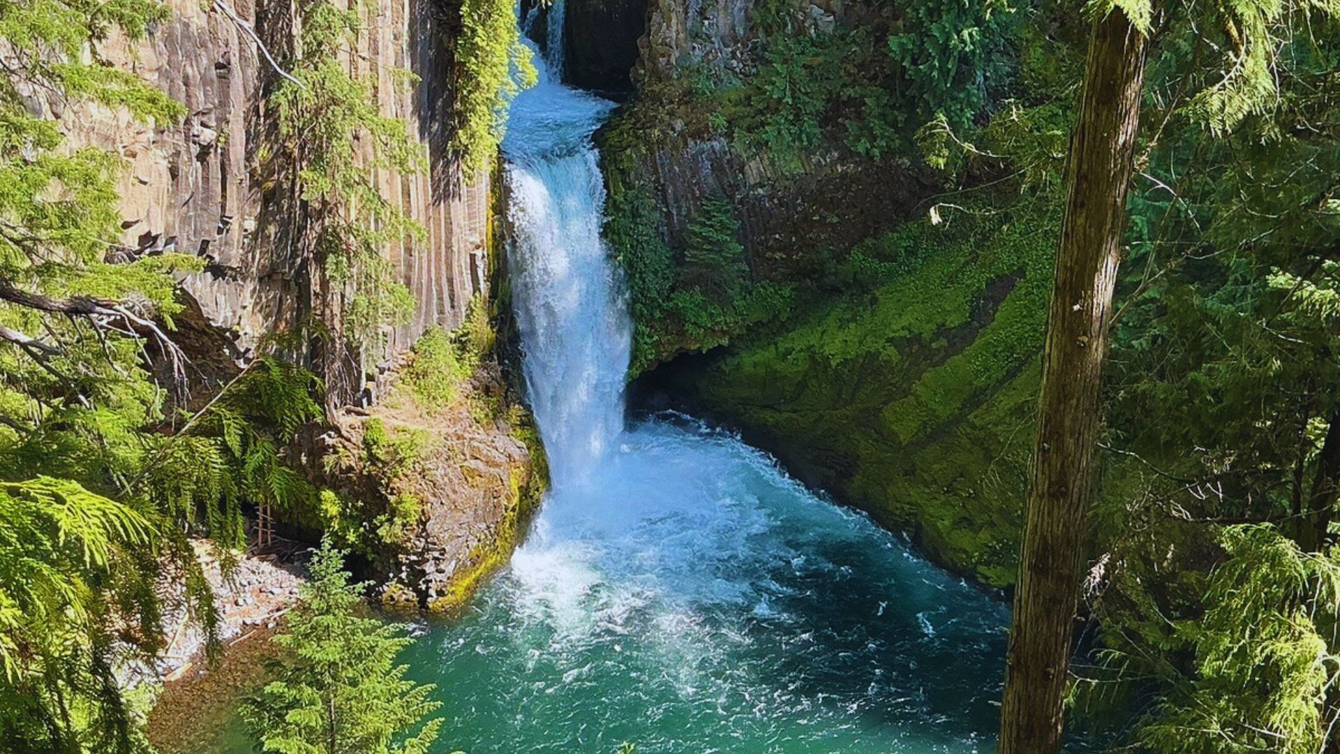 Toketee Falls
