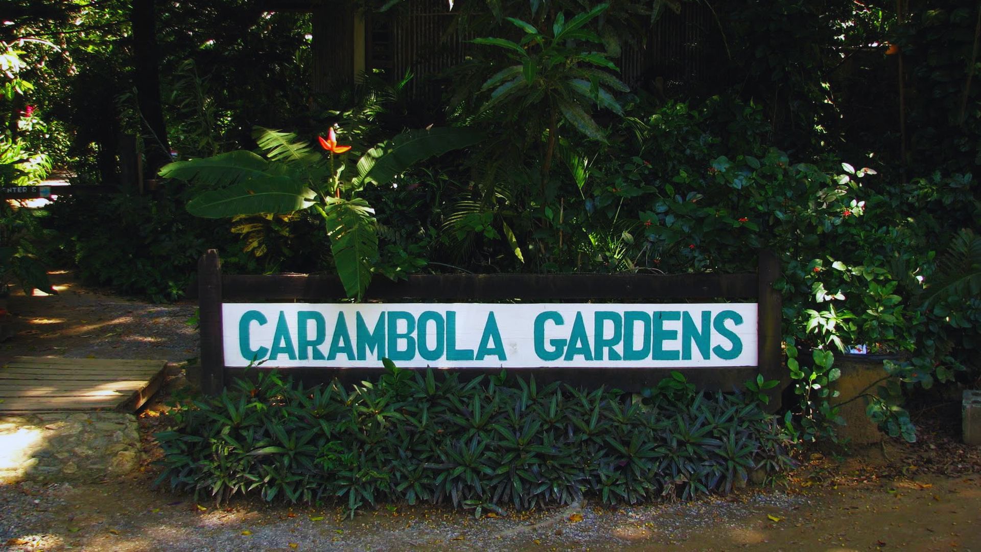 Sign reading "Carambola Gardens" surrounded by lush, green tropical plants and a vibrant red flower, creating a welcoming and tranquil atmosphere.