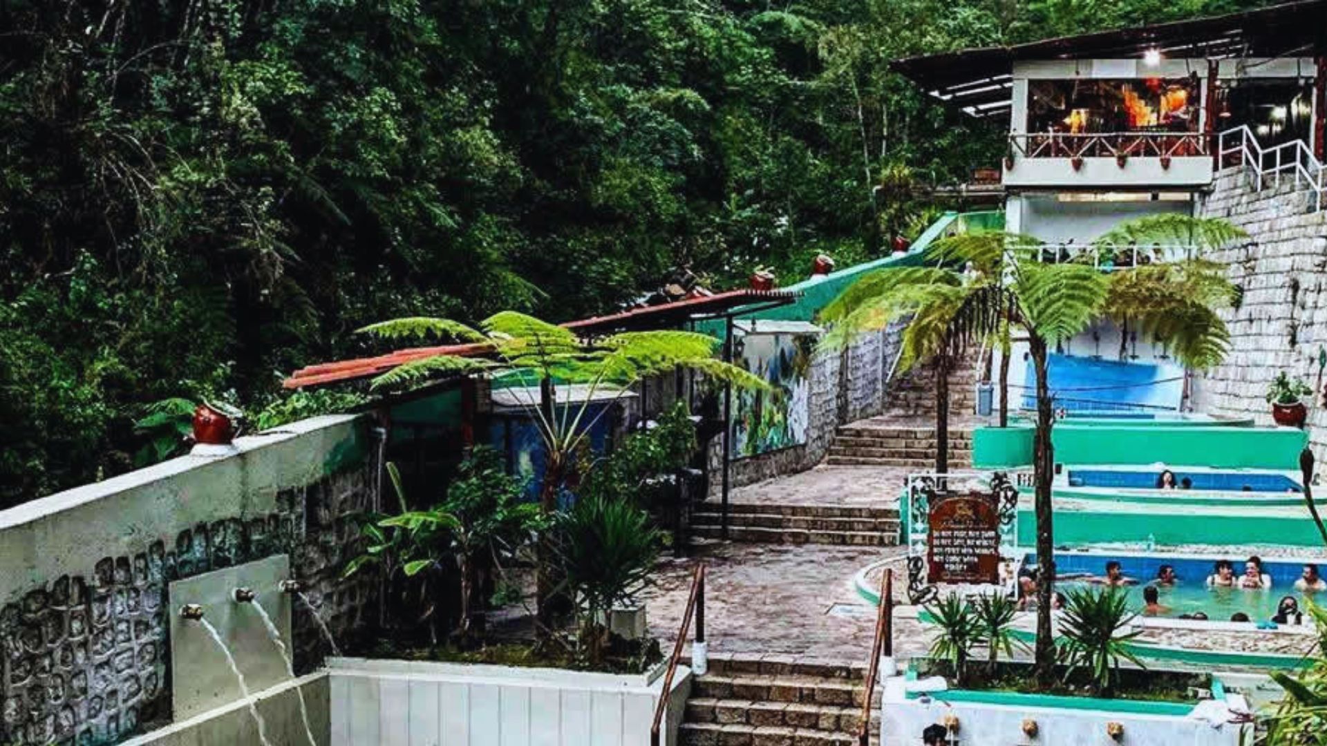 A hotel featuring a swimming pool surrounded by lush trees, showcasing a relaxing outdoor environment.