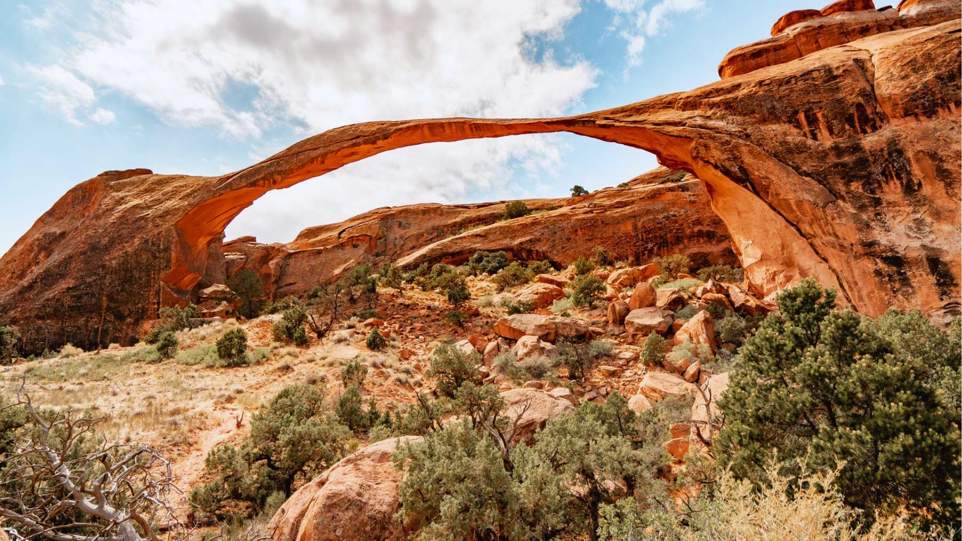 Why Visit Arches National Park