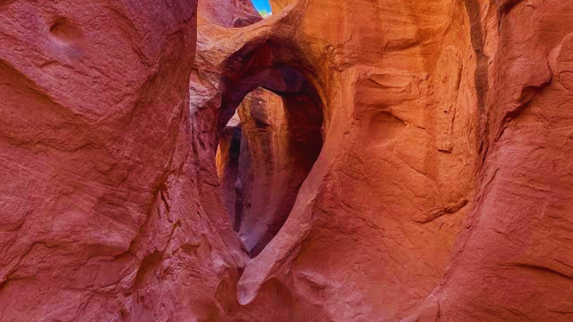 Explore Peekaboo and Spooky Slot Canyons