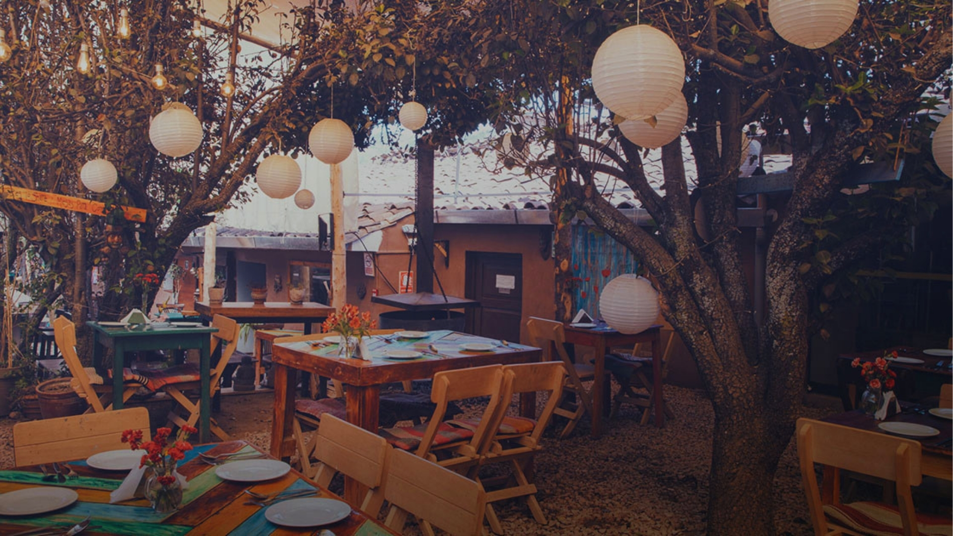 A cozy restaurant featuring tables and chairs arranged under a large tree for outdoor dining.