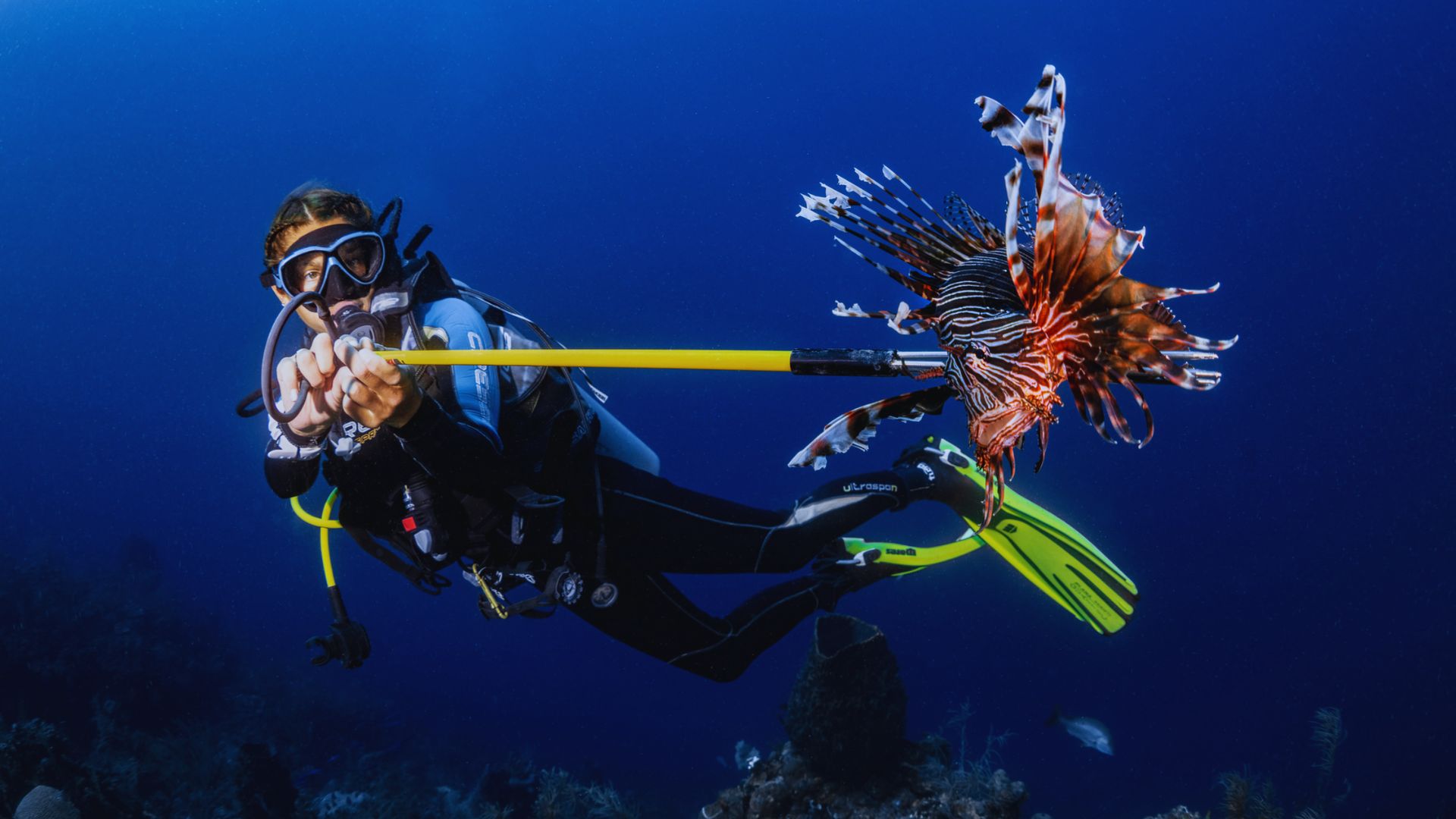 A scuba diver in blue gear spears a colorful lionfish with a yellow pole against a deep blue ocean backdrop, conveying focus and adventure.