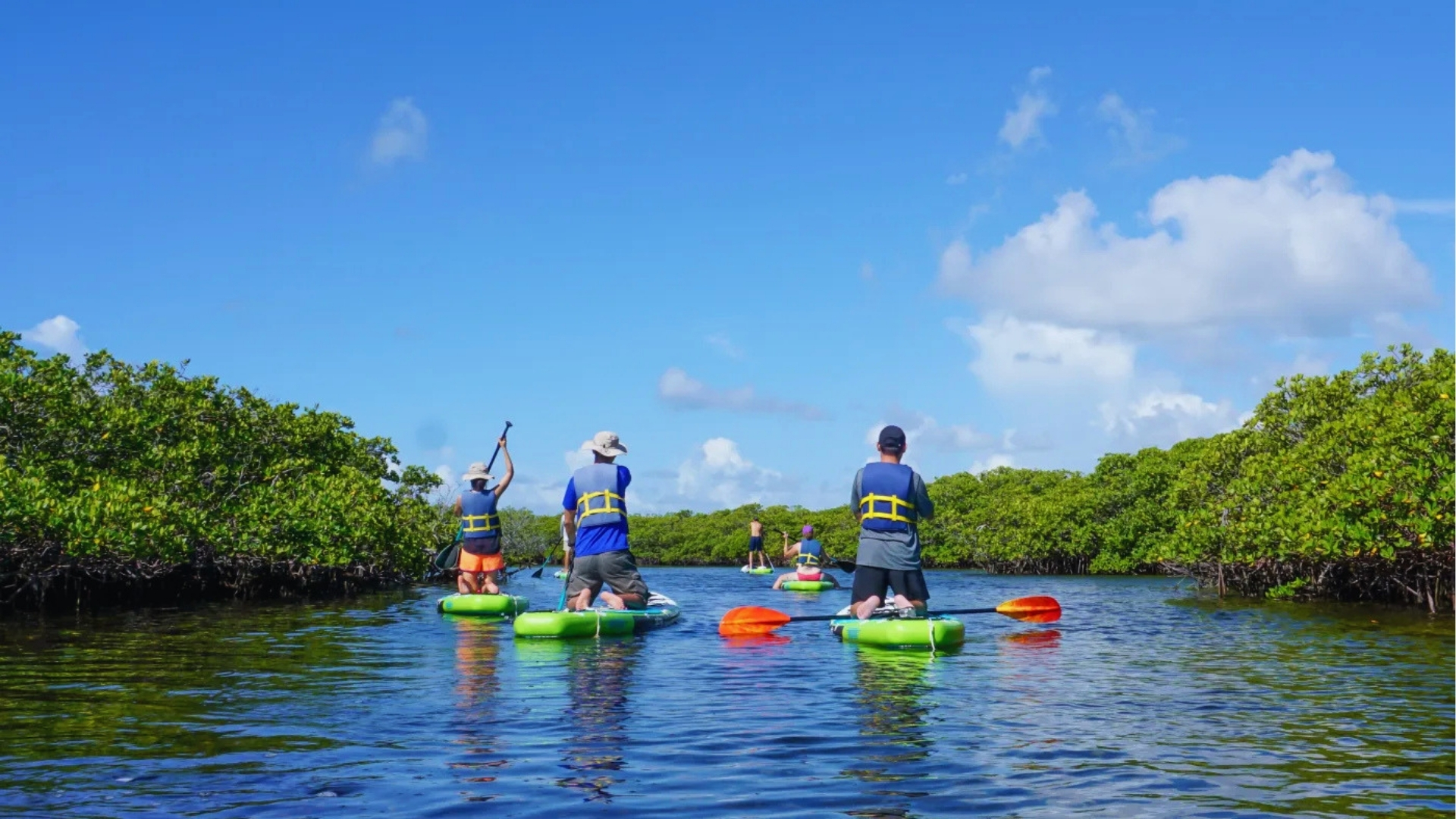 A group of people paddleboarding on a calm waterway surrounded by lush green mangroves under a bright blue sky, conveying a sense of adventure and tranquility.