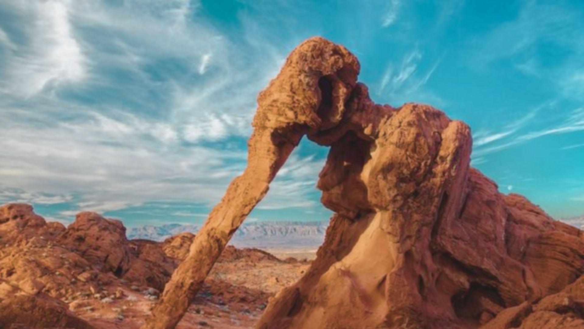 Take a Day Trip to Valley of Fire State Park