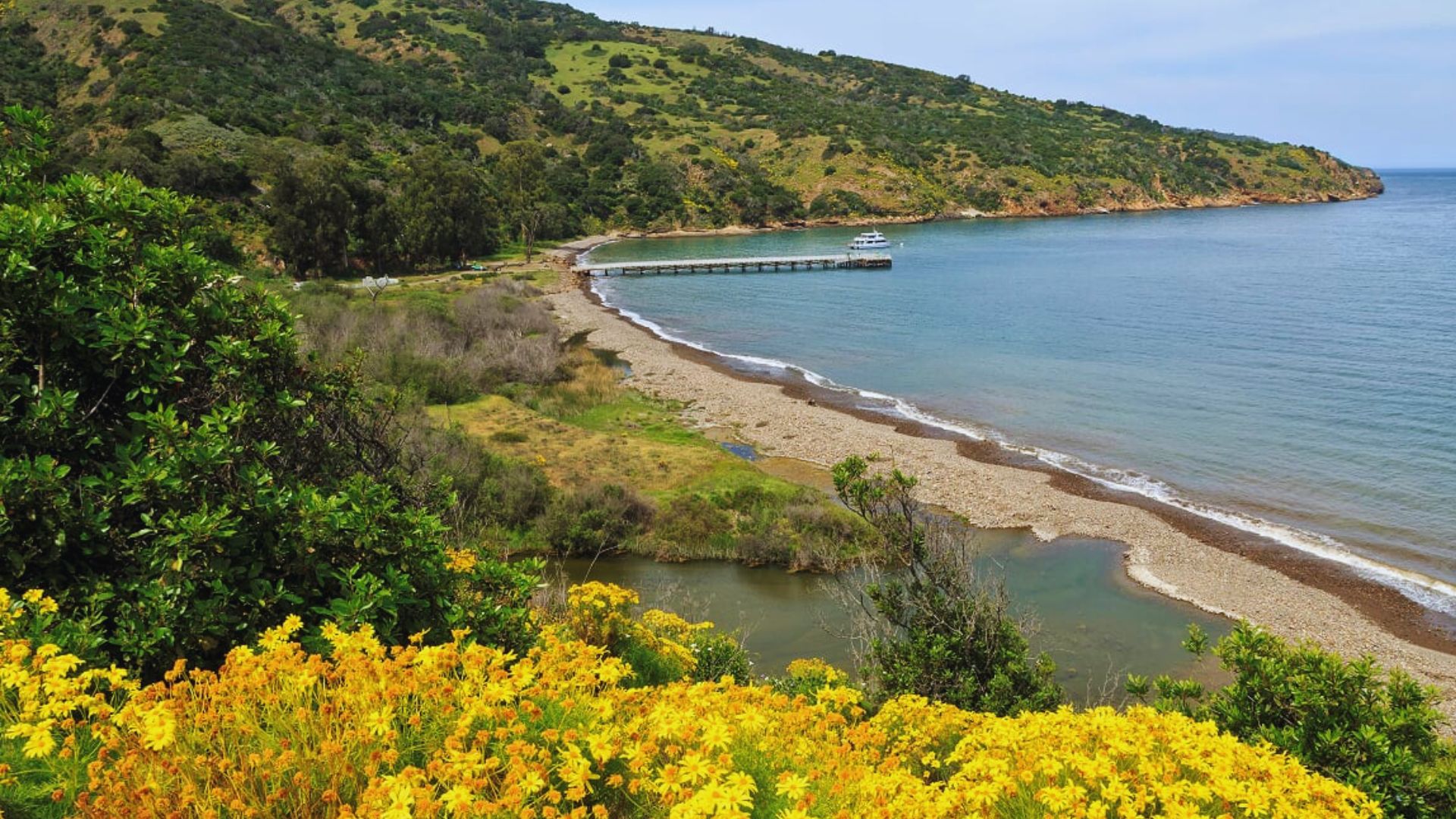 A scenic view of a sandy beach with a distant dock extending into the water under a clear blue sky.