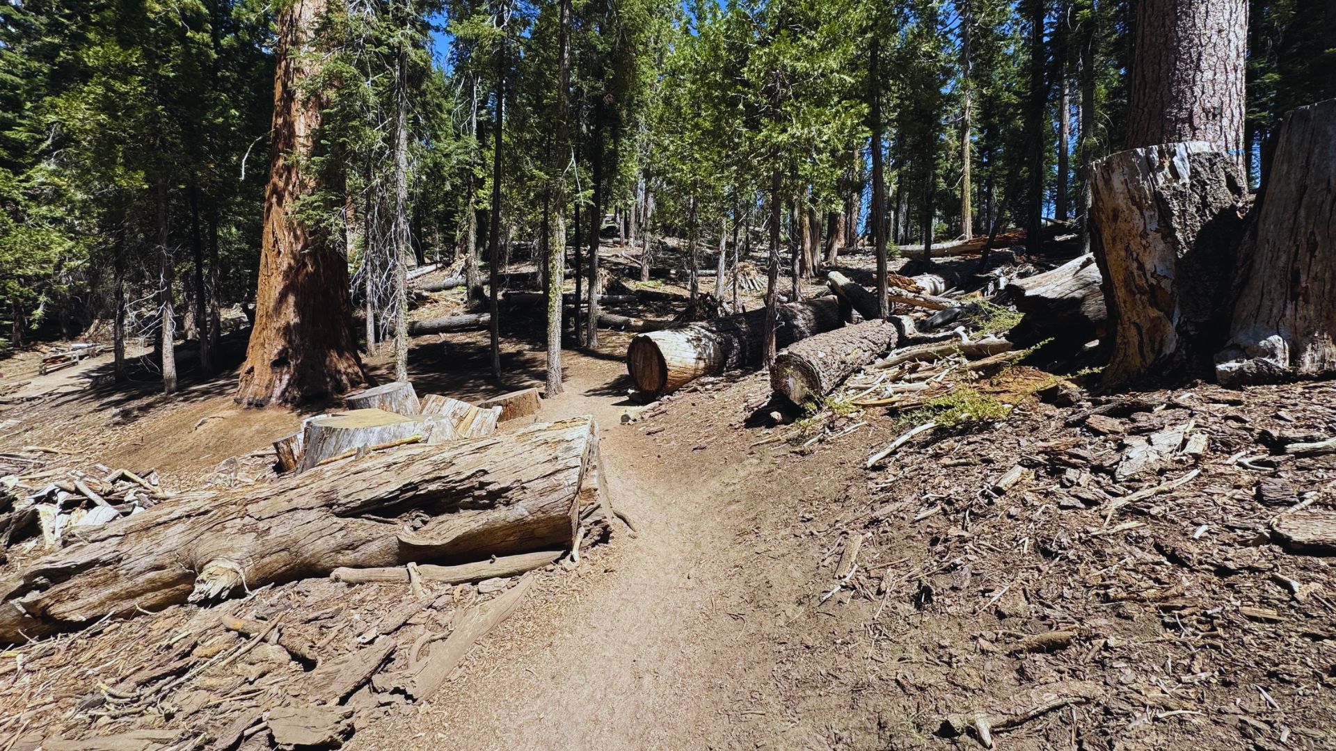 North Boundary Trail