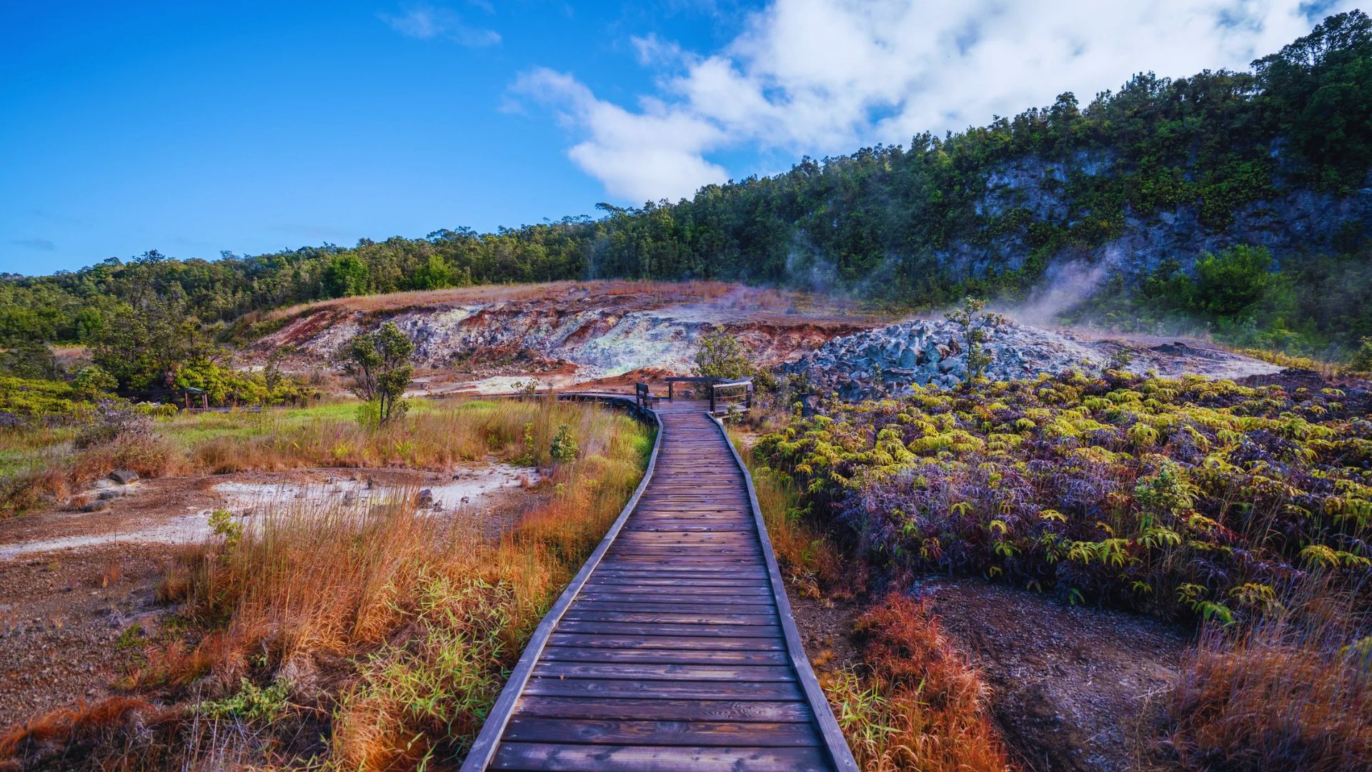 See Steam Vents and Sulphur Banks