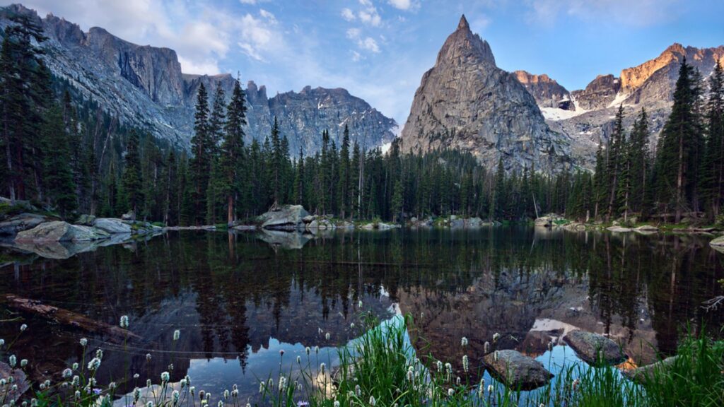 A serene mountain landscape with a jagged peak reflecting in a calm lake. Pine trees line the shore, and green grass with small flowers is in the foreground.
