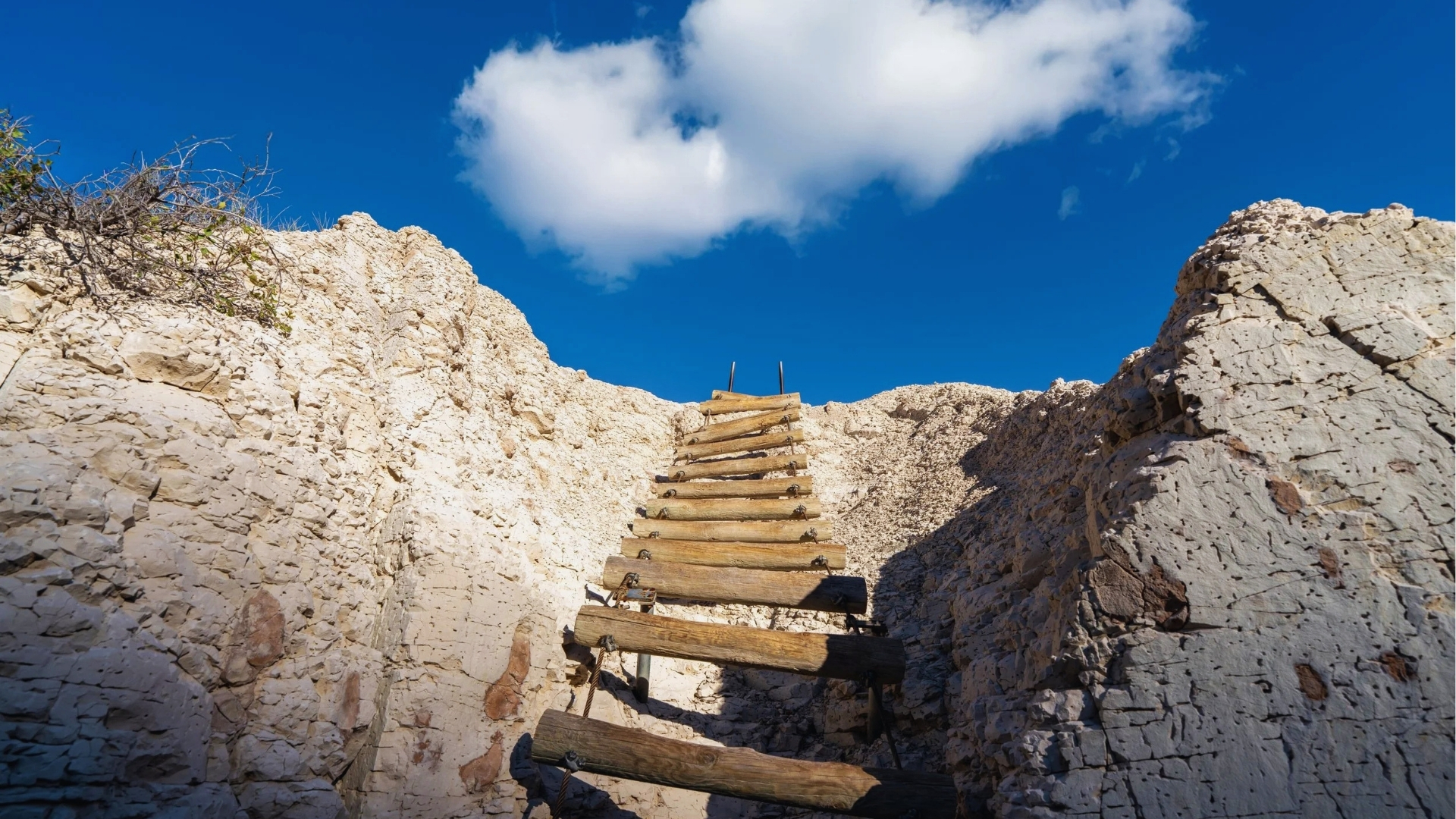 A wooden ladder leaning against a cliff, leading upward toward the rocky edge.