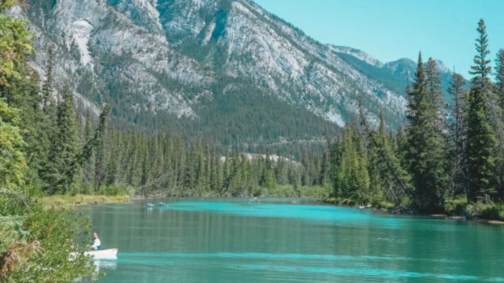 Best Hikes in Glacier National