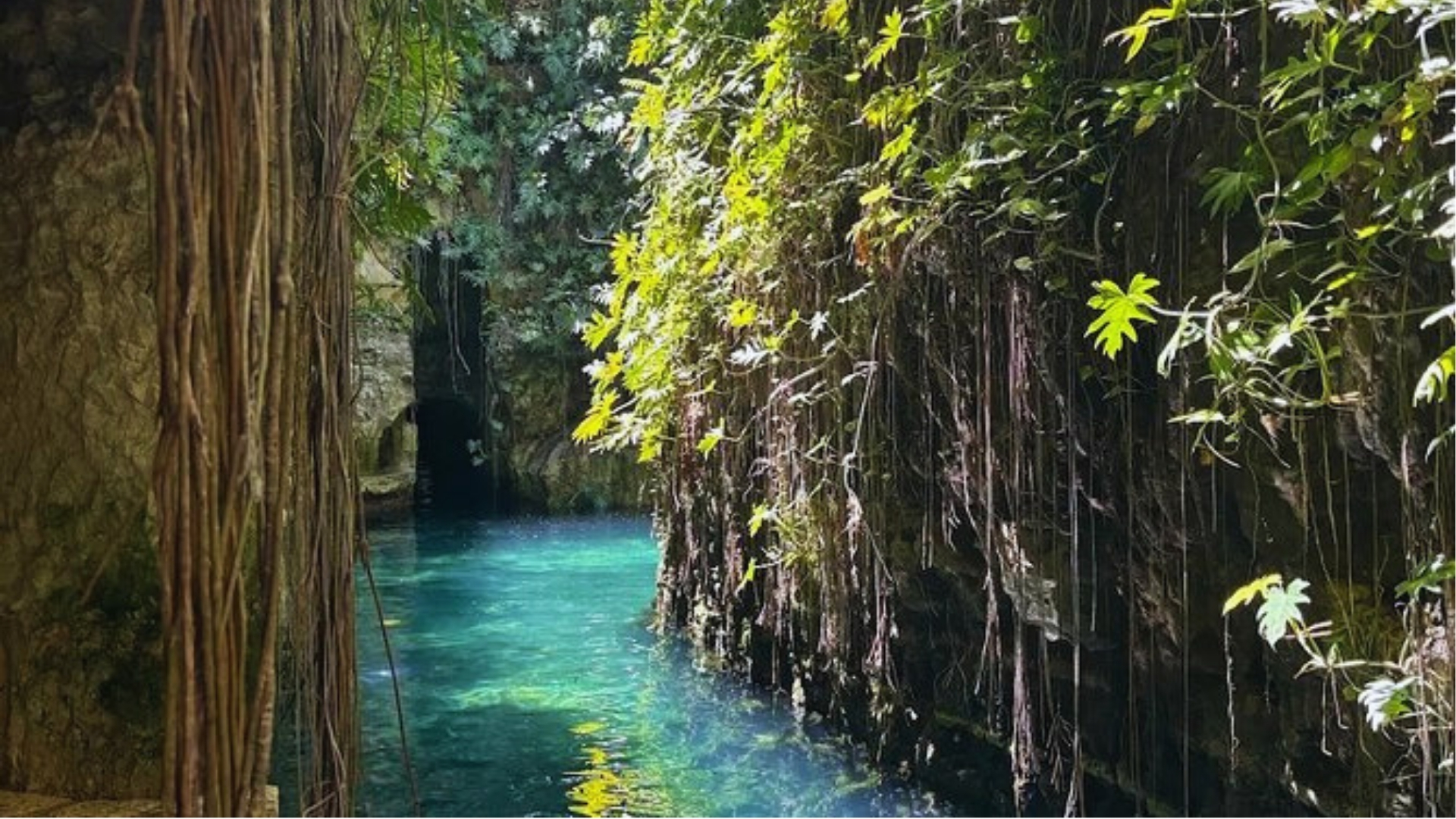 A serene river with blue water, bordered by lush green trees on both sides, creating a tranquil natural scene.
