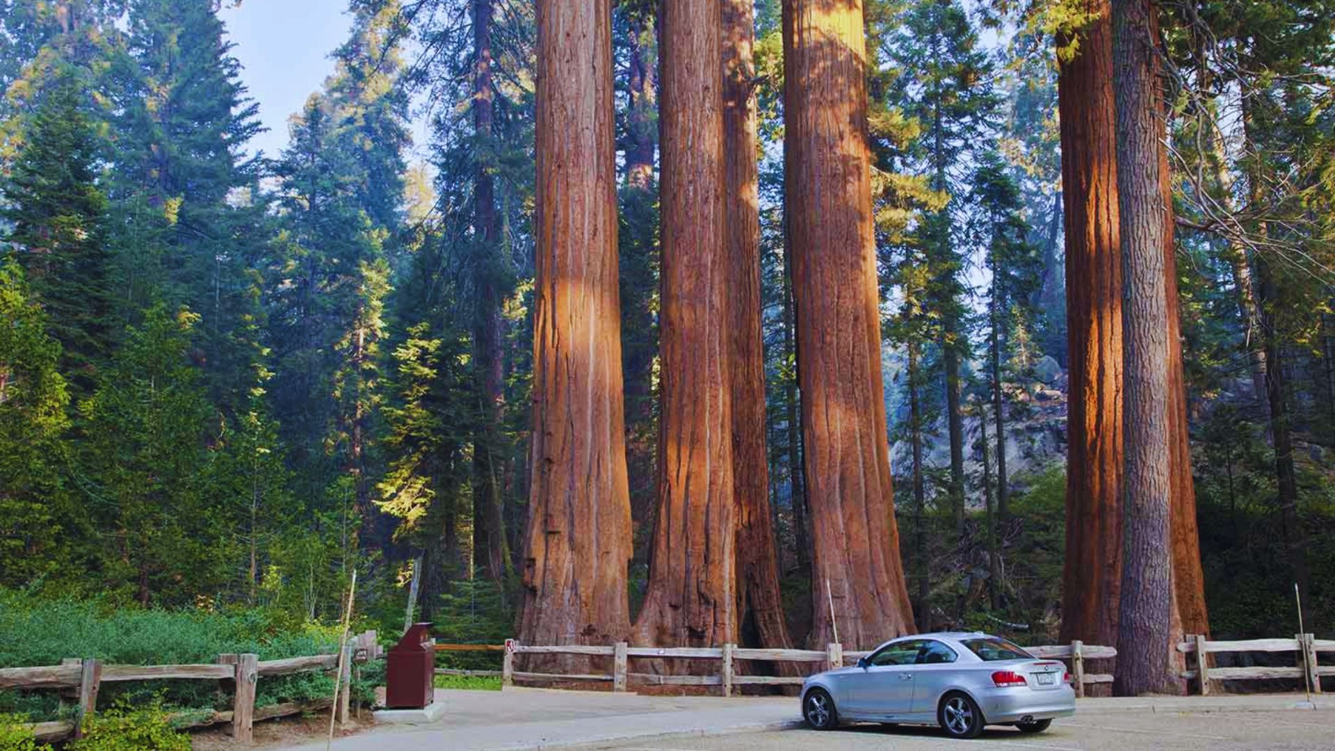 General Grant Tree Trail