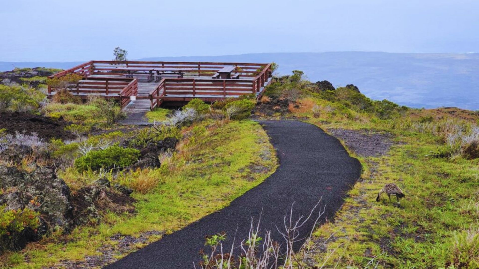 A scenic path leading to a wooden bridge atop a mountain, surrounded by lush greenery and clear blue skies.