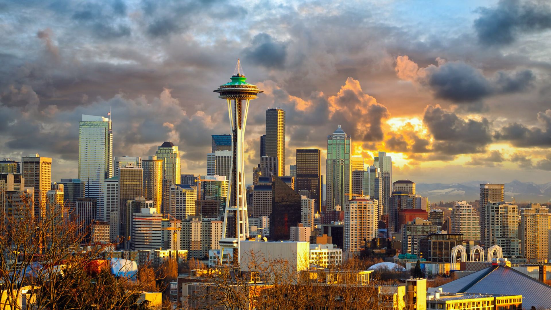 Why Visit Seattle in July