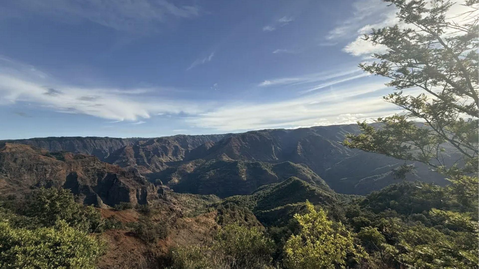 Sweeping view of Waimea Canyon's red cliffs and green valleys on the Canyon Trail in Kauai.