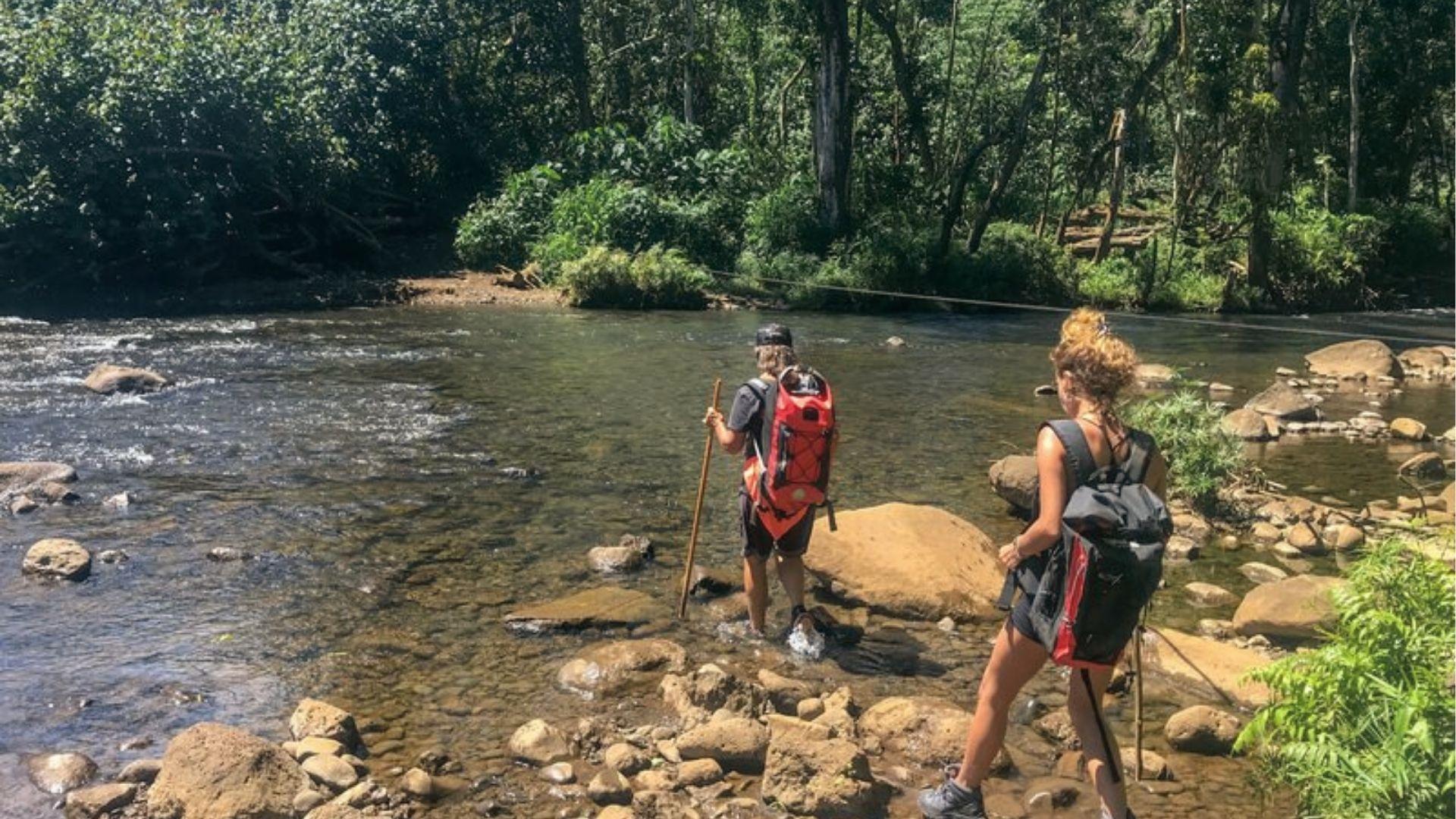 Hikers with packs cross rocky streams on Hanakapiai Falls Trail through Kauai's dense forest.