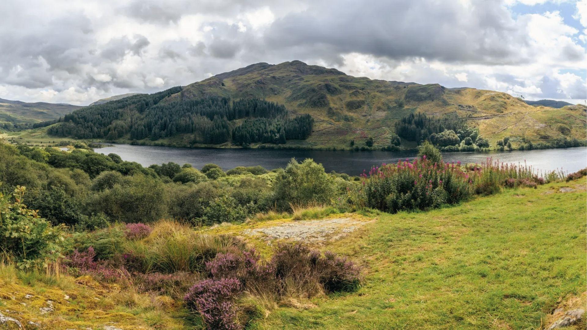 Wildflowers and heather frame a still lake, Scotland’s moody highland loch far from tourist paths.