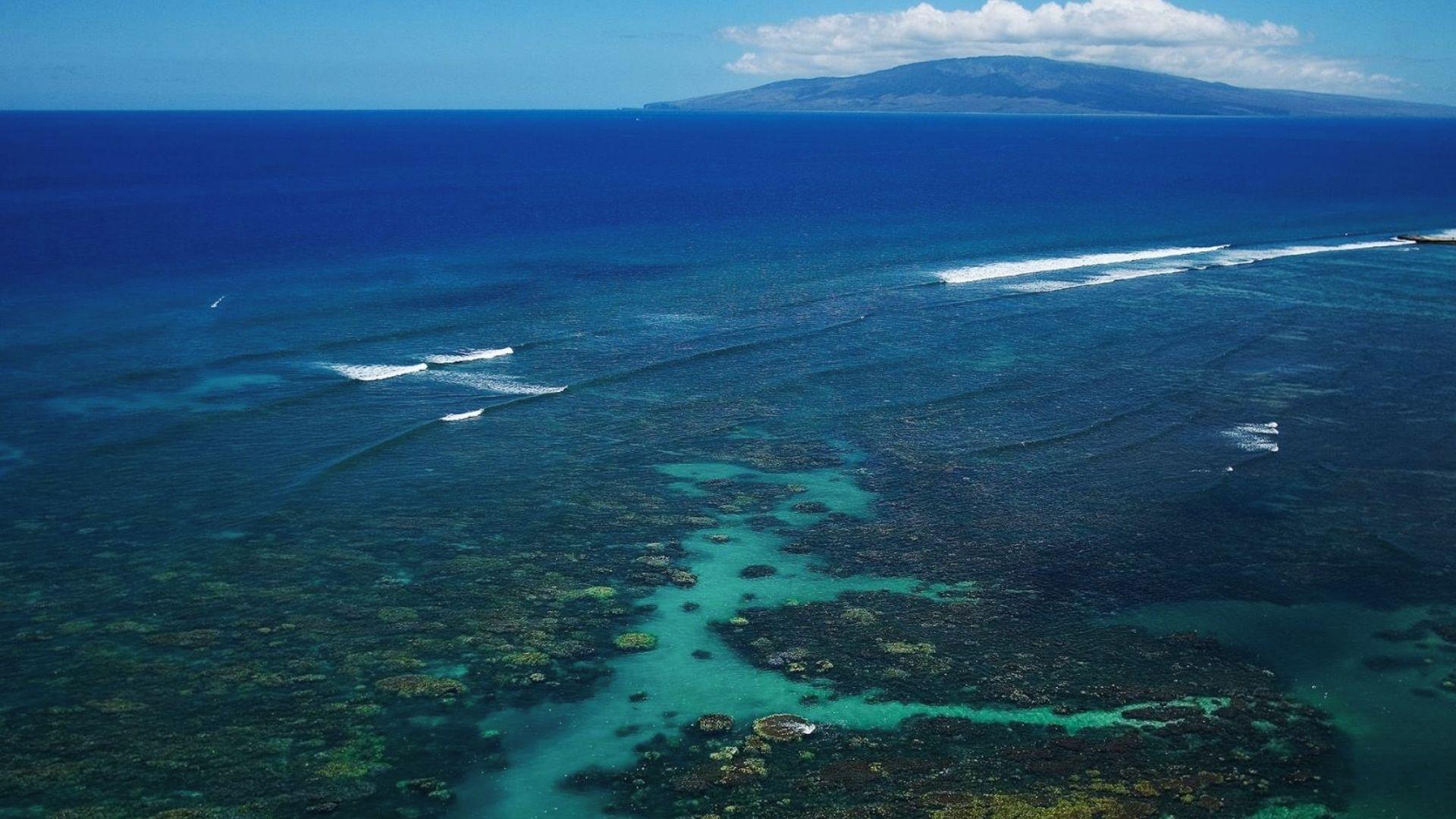 “ Coral Gardens ” is one of the must-visit snorkeling places in Hawaii.
