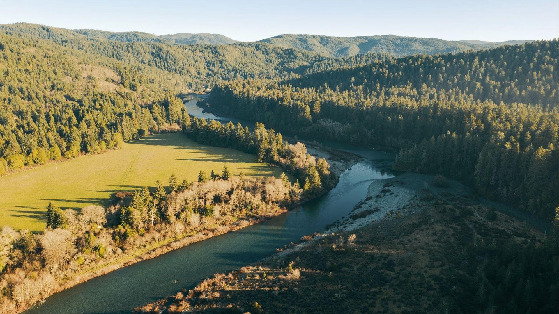 Sunlit green valley and winding river cut through dense forests in full spring bloom, aerial view.