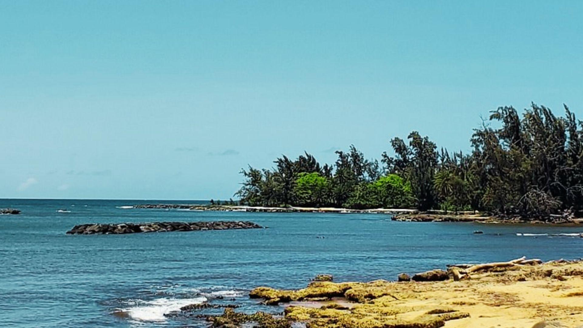 “ Laniakea Beach ” is one of the must-visit snorkeling places in Hawaii.