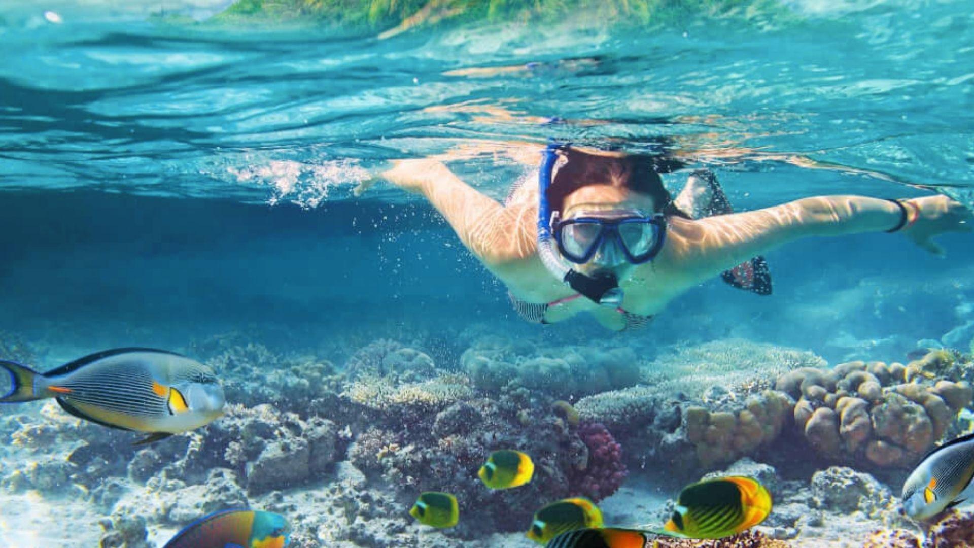 Woman snorkeling underwater in Hawaii's clear blue ocean surrounded by colorful tropical fish and vibrant coral reefs.