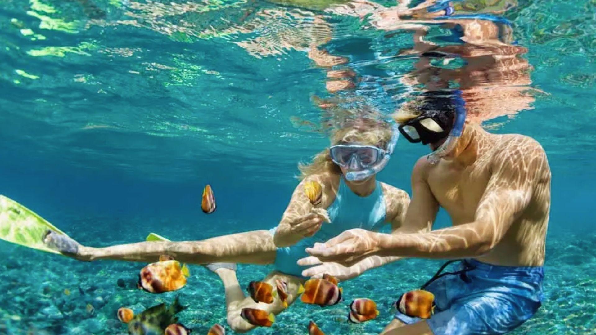 Couple snorkeling together in Hawaii feeding tropical fish while exploring shallow turquoise waters and coral reef ecosystem.