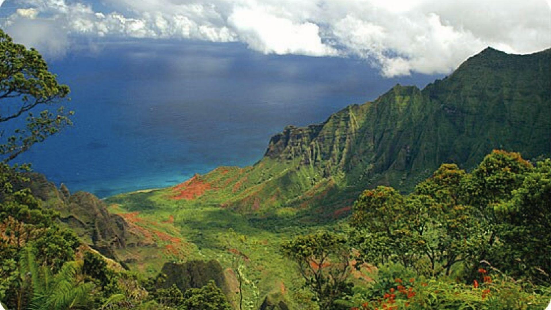 Dramatic Kalalau Valley and Napali Coast from Pihea Trail overlook in Kokee State Park.
