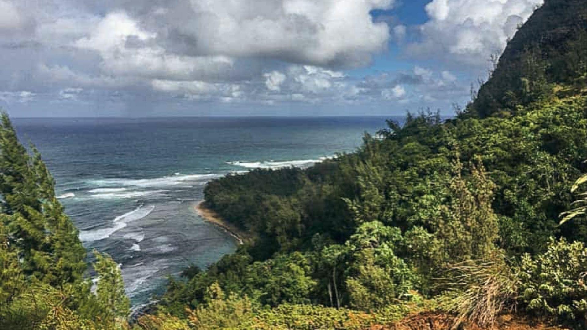 Kalalau Trail to Hanakapi'ai Beach views from high cliff path on Kalalau Trail with lush Napali Coast below.