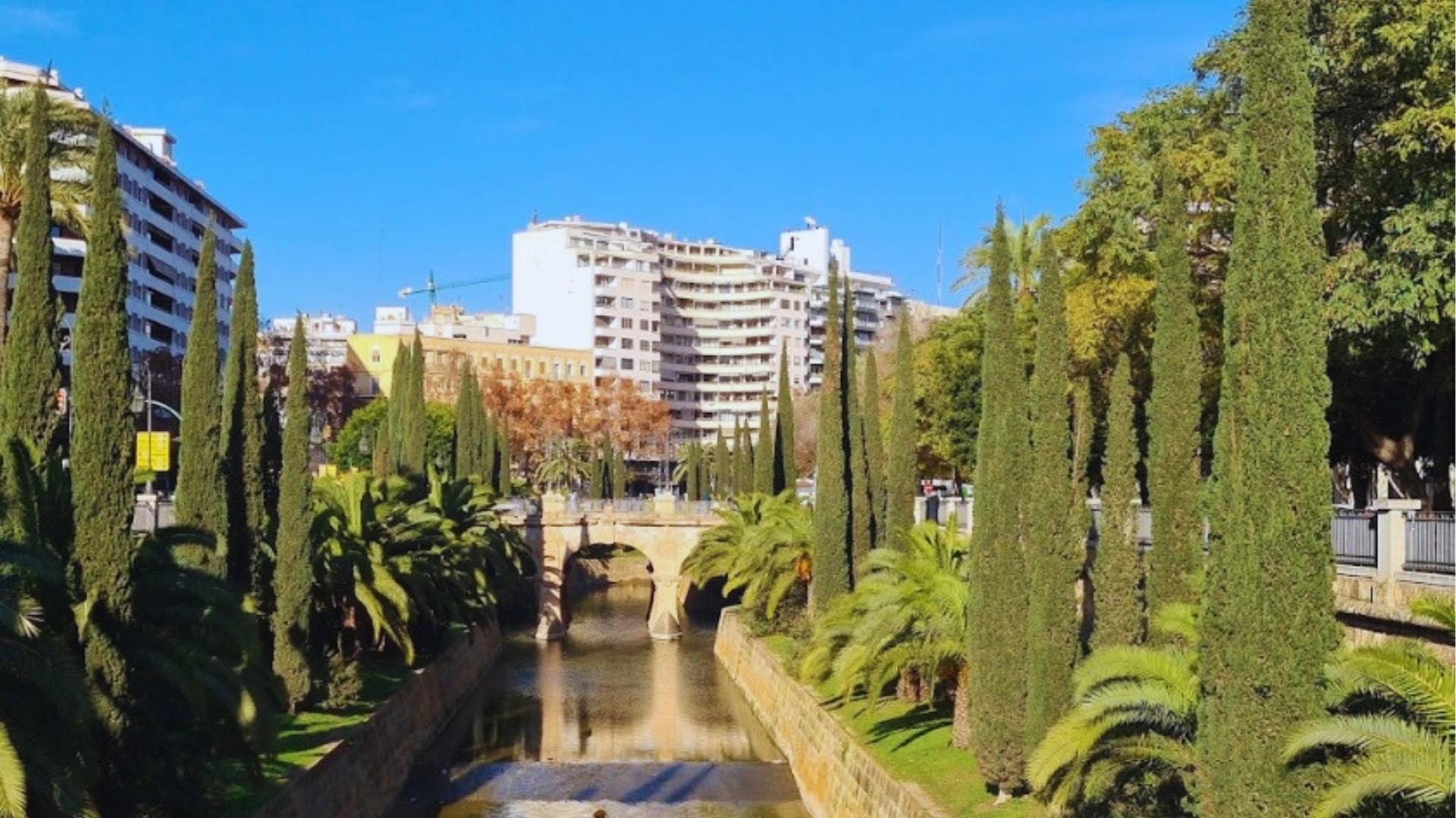 Stone bridge crosses a narrow canal lined with tall cypress and palm trees near modern apartments in sunny Palma de Mallorca.
