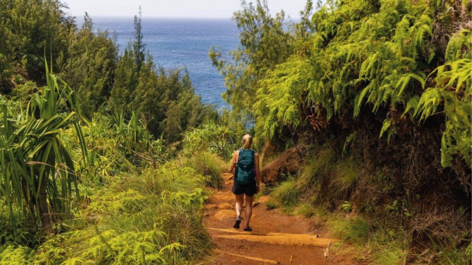 Lone hiker descends red dirt trail to ocean framed by ferns on Kauai's Kalalau Trail.