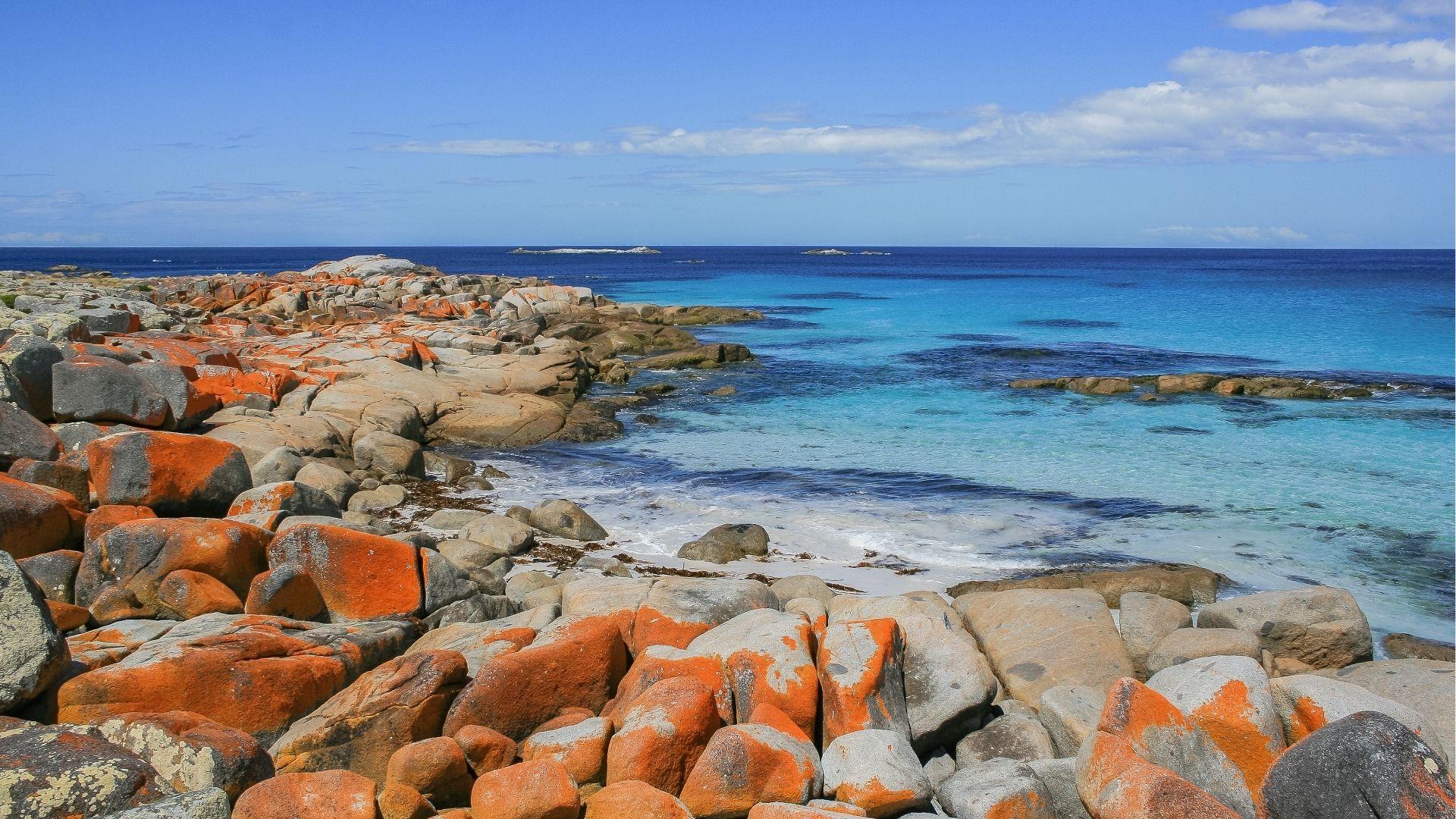 Visit Bay of Fires orange lichen rocks by clear water, hike pristine beaches and photo stops.