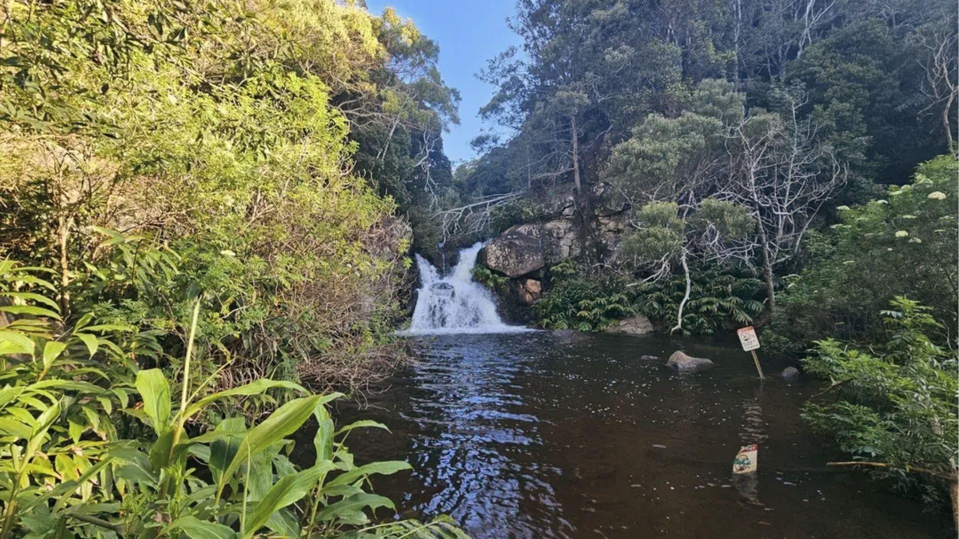 Hidden jungle Canyon Trail to Waipo'o Falls into a dark pool in Kauai's rainforest.
