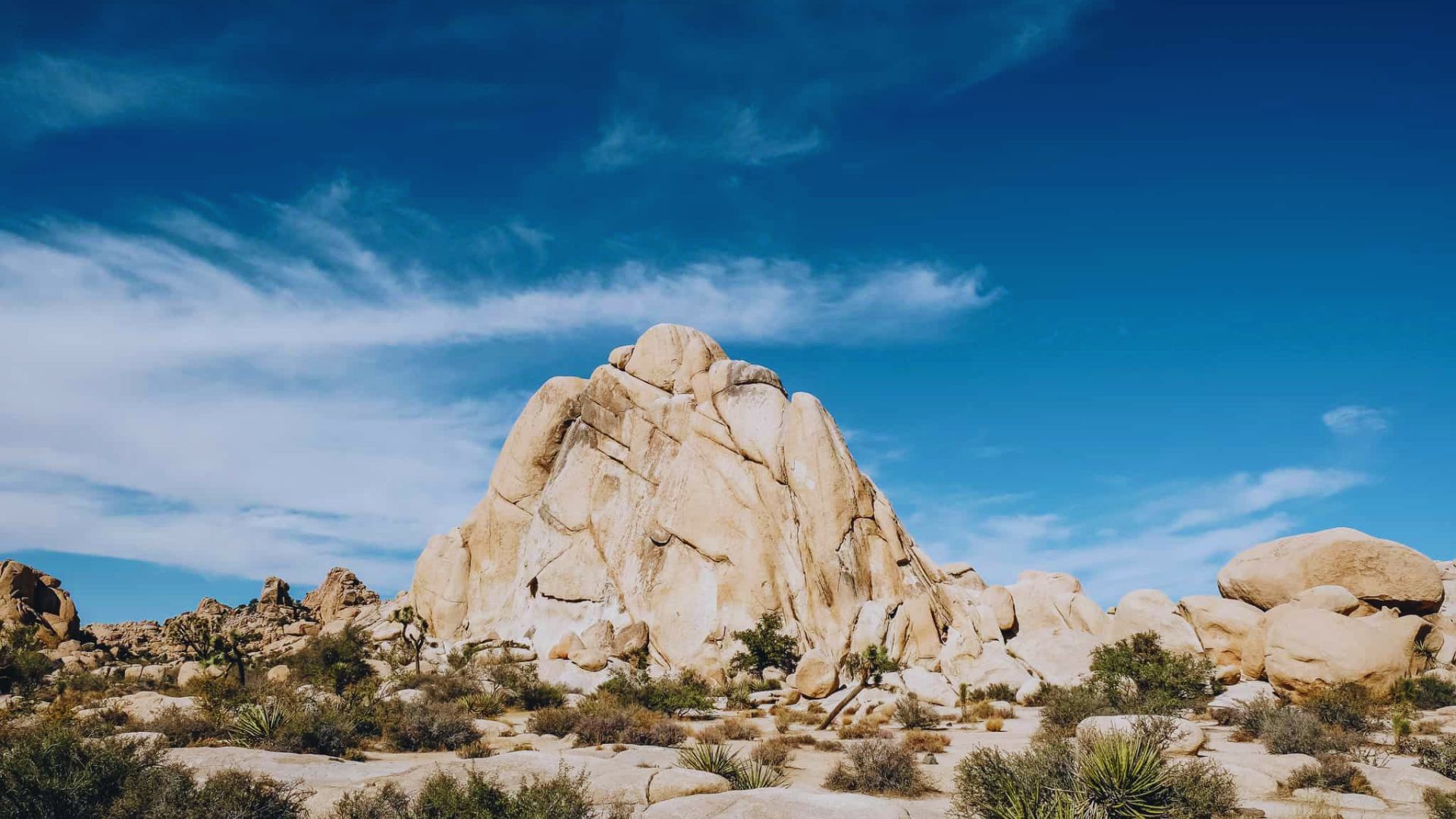 Hike the Hidden Valley Loop Trail