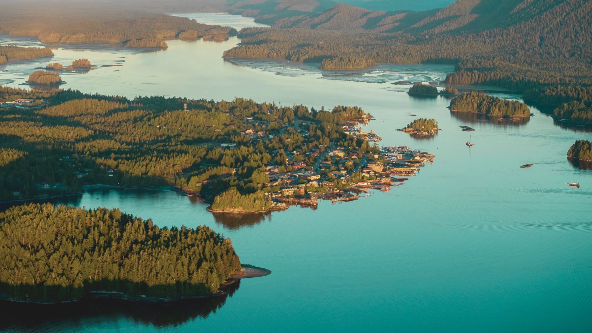 Best Things to Do in Tofino