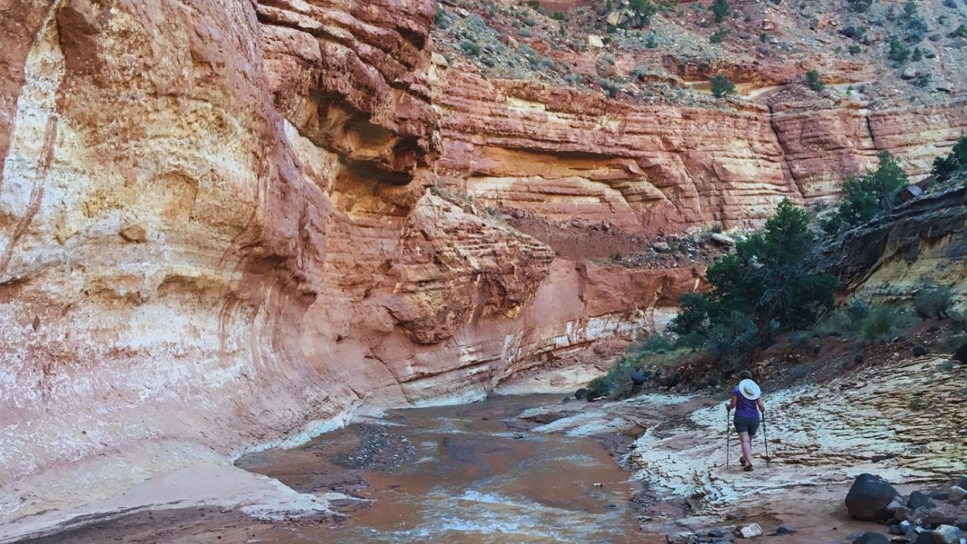 Sulphur Creek Trail