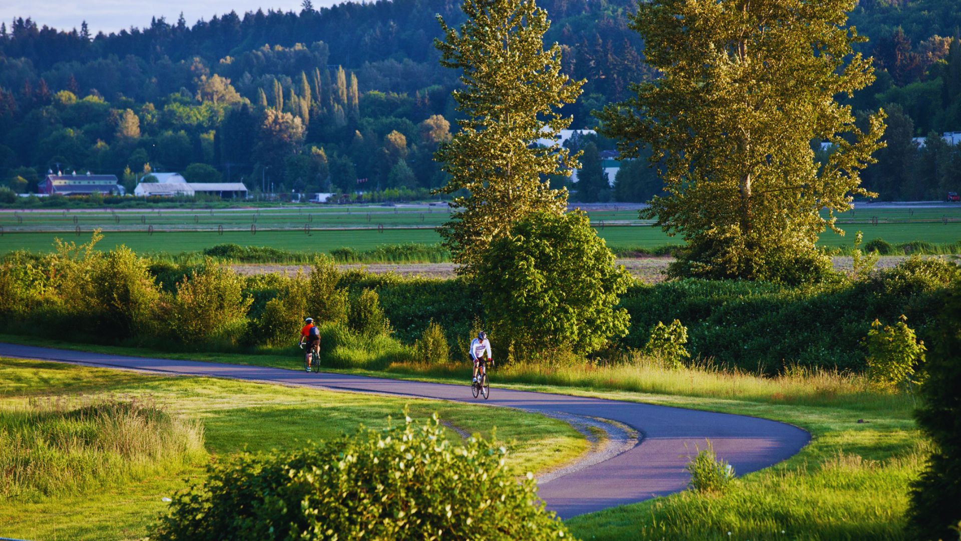 Visit Vineyards in Woodinville Wine Country