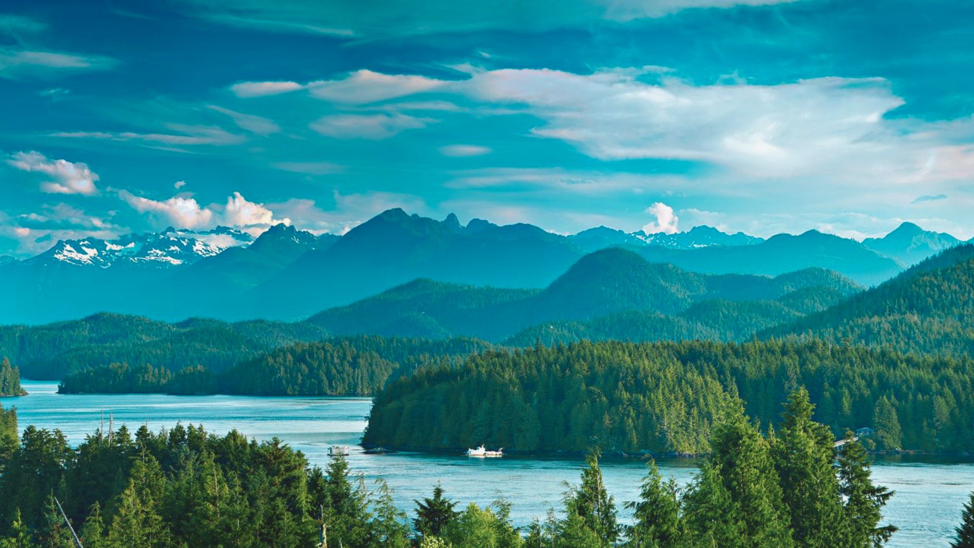 Why Visit Tofino
