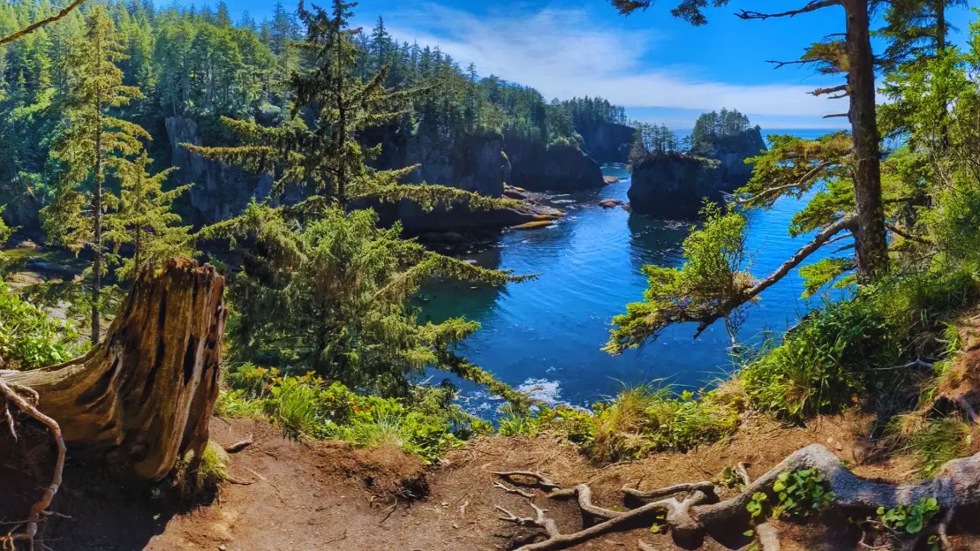 Visit the Northwestern Tip at Cape Flattery