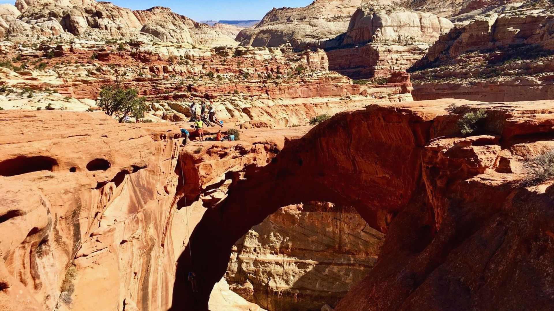 Cassidy Arch
