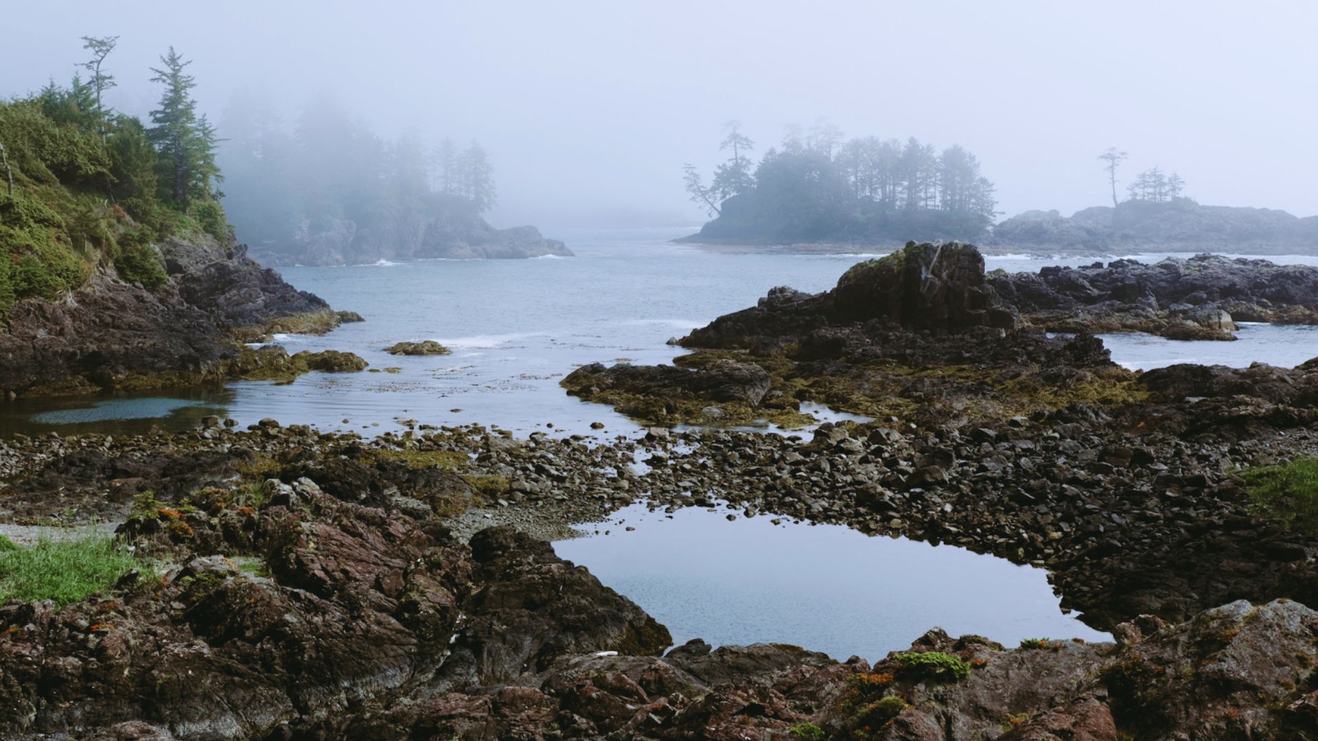 Sample Tofino Itineraries