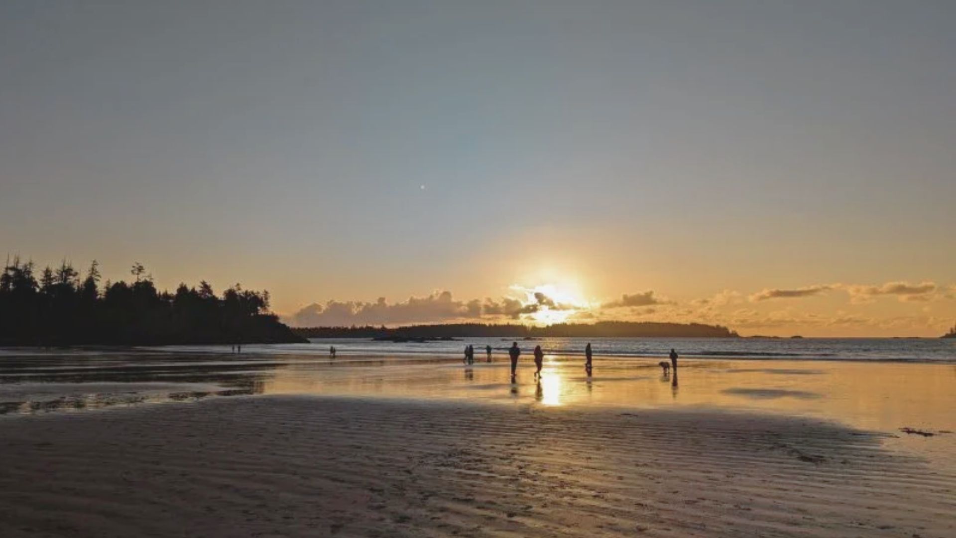 Check Out the Beaches