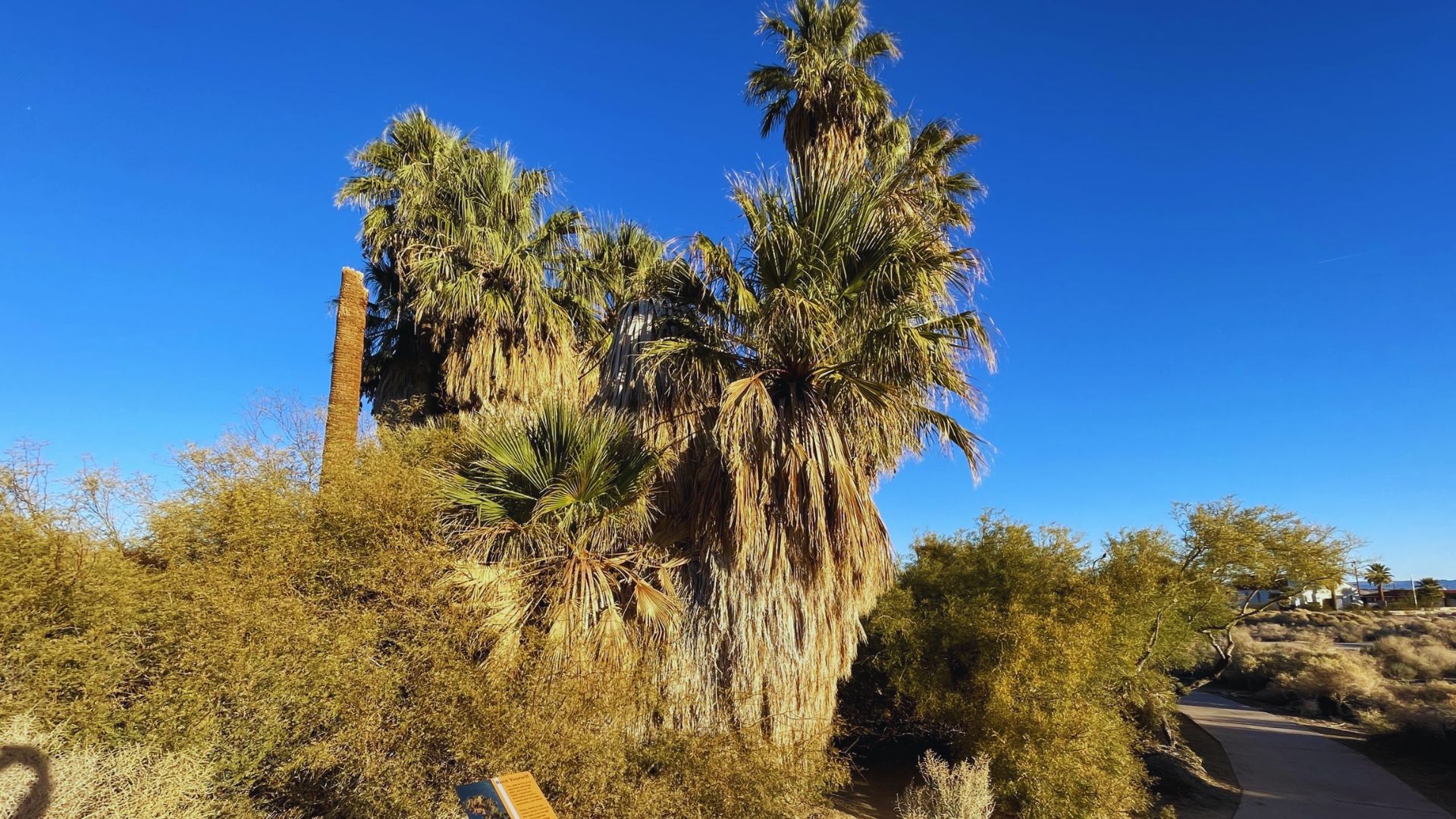 Walk the Oasis of Mara Trail