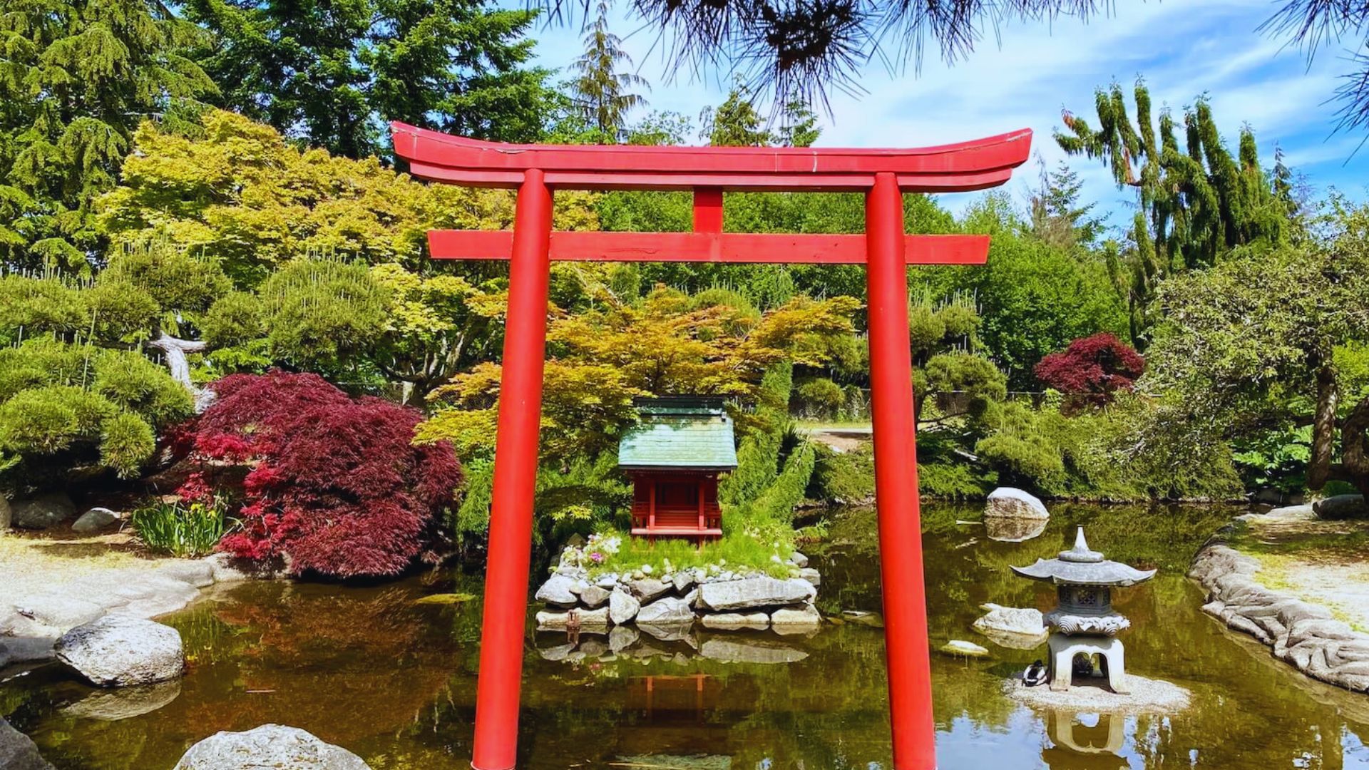 Relax at the Seattle Japanese Garden