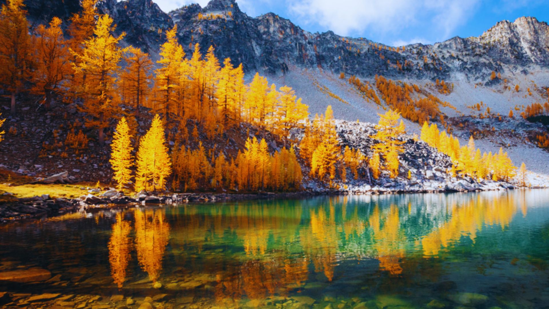 ee Golden Larches in North Cascades National Park