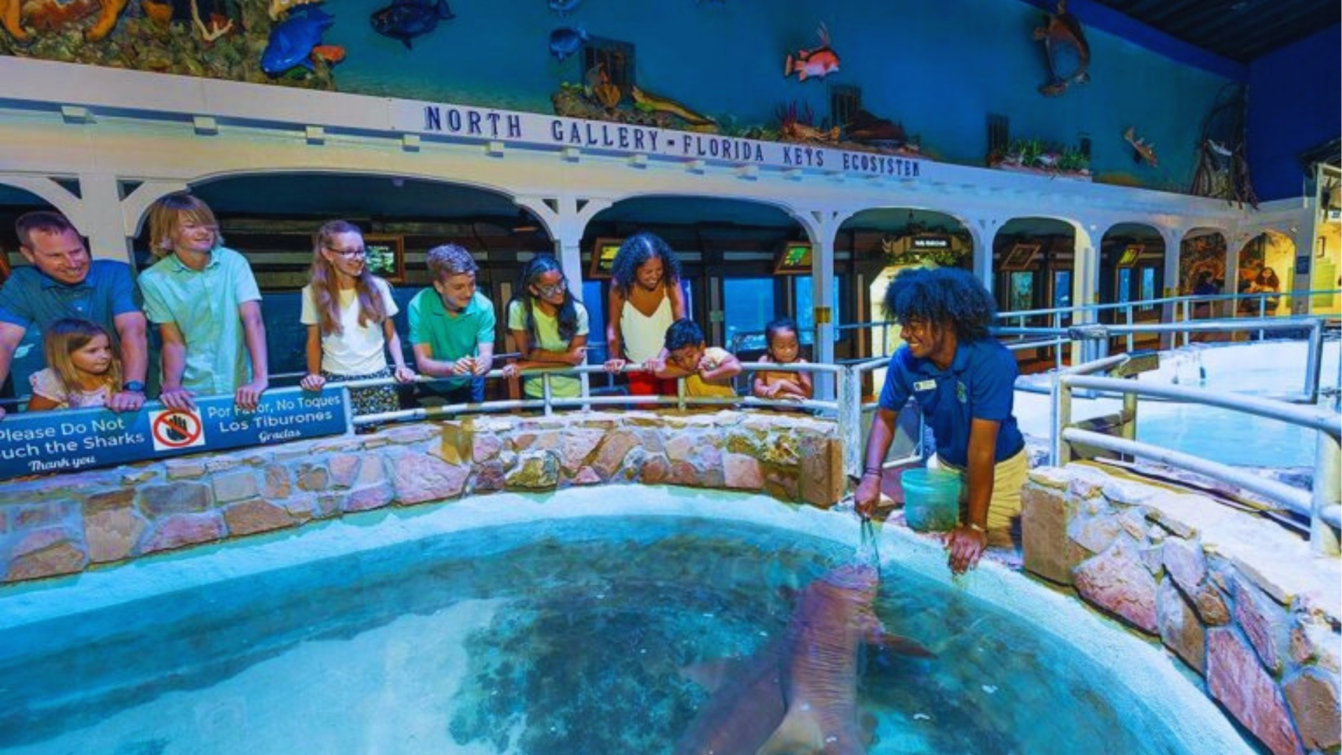 Families gather around a touch tank at Key West Aquarium’s North Gallery while a staff member feeds sharks for visitors.