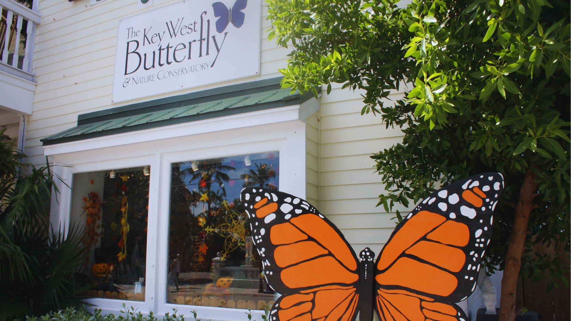Exterior of The Key West Butterfly & Nature Conservatory with giant monarch butterfly sculpture outside white storefront